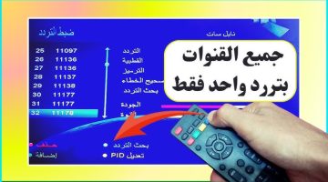 طريقة سريعة لتنزيل جميع قنوات نايل سات بتردد واحد في 3 دقائق