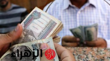 حقيقة صرف منحة 1500 جنيه لأصحاب المعاشات فورًا.. قرار الحكومة يحسم الجدل