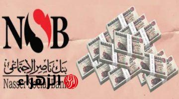 شهادة سند الجديدة 2026 من بنك ناصر بأعلى عائد.. أرباح الـ100 ألف وخطوات الشراء
