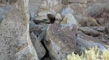 أين الأرنب المخفي في هذه الصورة؟.. اللغز يحدد ما إذا كان تركيزك جيداً أم لا
