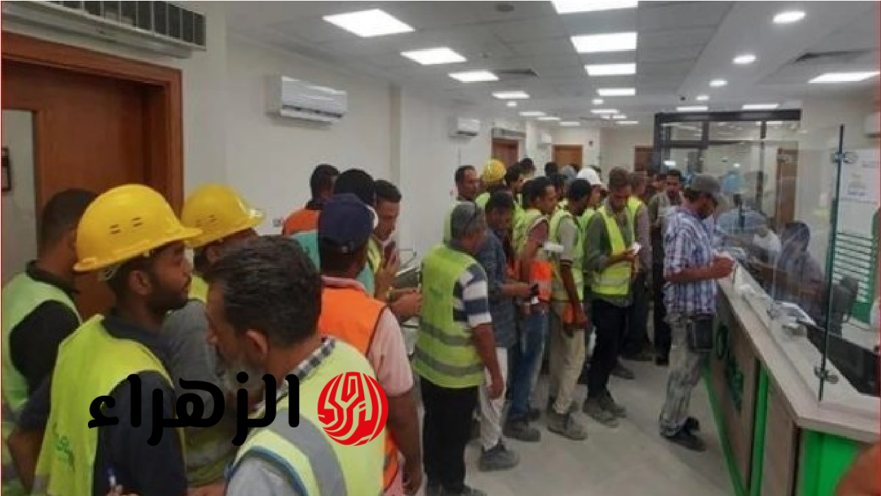 سجـل بسهولـة.. رابط وشروط التسجيل في منحة العمالة غير المنتظمة عبر موقع وزارة العمل المصرية 2026