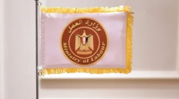 برواتب تصل لـ 10 آلاف جنيه.. وزارة العمل تعلن عن وظائف شاغرة لهذه التخصصات