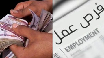 برواتب تصل لـ12 ألف جنيه شهريًا.. وظائف خالية تعلنها وزارة العمل