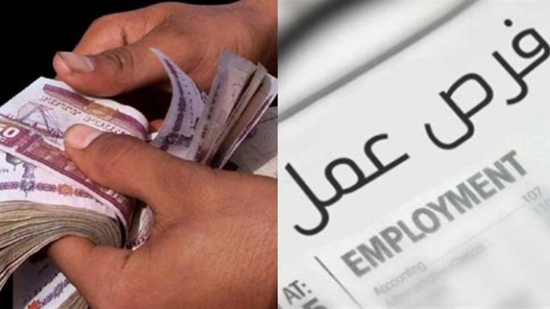 التقديم مفتوح.. العمل تعلن عن وظائف شاغرة بمرتبات تصل لـ 14500 جنيه لهذه التخصصات
