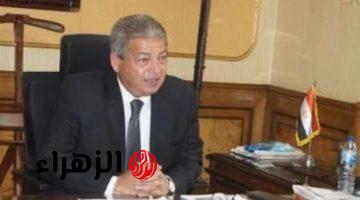 خالد عبد العزيز يؤكد انحسار سلطة «الأعلى للإعلام» في القنوات الفضائية بعيدًا عن منصات السوشيال ميديا