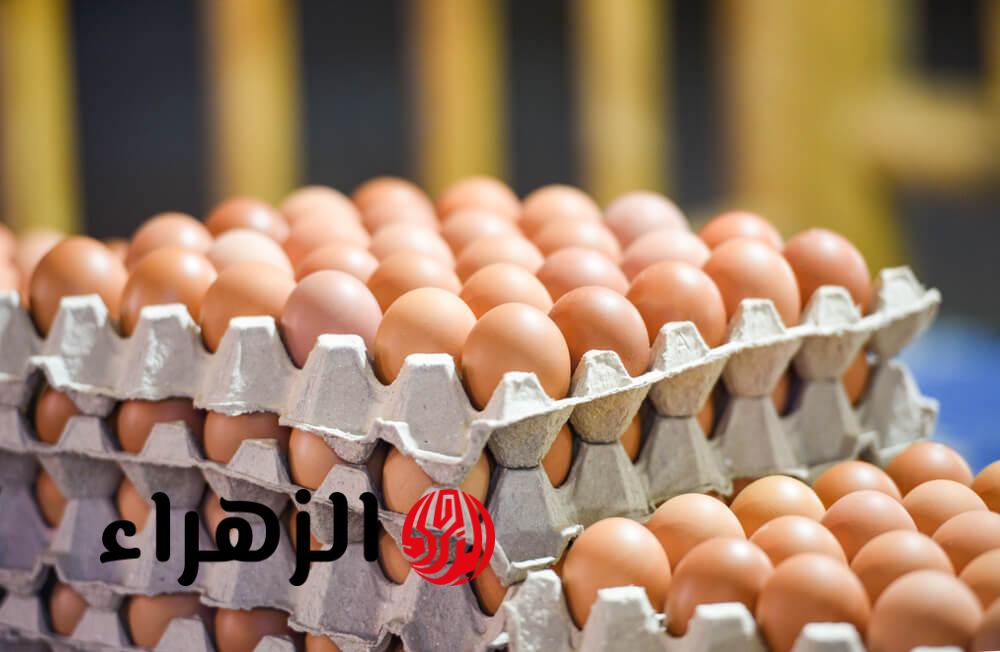 25 جنيه.. التموين تخفض أسعار البيض بمنافذ الوزارة وهذا ثمن الكرتونة الآن