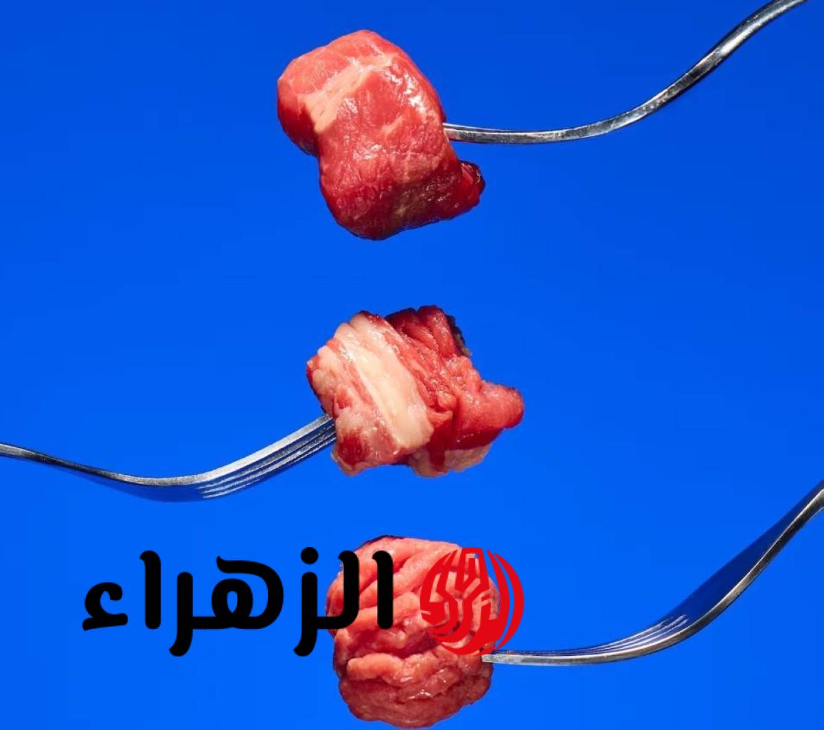 ماذا يحدث لجسمك عند تناول اللحوم فقط؟.. اكتشف الحقائق والنتائج الصادمة
