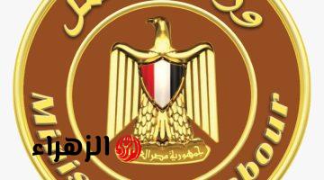 بمرتبات تصل لـ 20 ألف.. وزارة العمل تعلن 470 فرصة عمل للشباب في هذه التخصصات