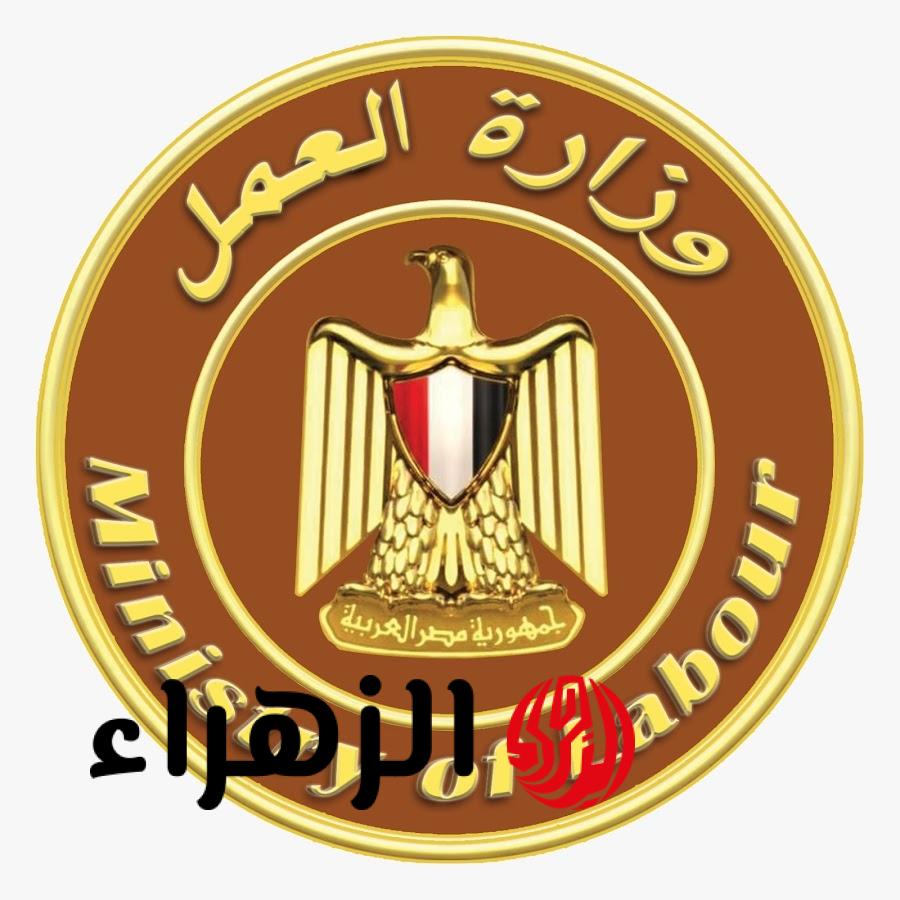 بمرتبات تصل لـ 20 ألف.. وزارة العمل تعلن 470 فرصة عمل للشباب في هذه التخصصات