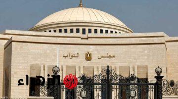 تحرك برلماني عاجل لمواجهة أزمة أسعار الدواء وتحديث بروتوكولات العلاج على نفقة الدولة