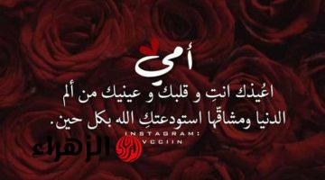 عيد الأم.. رسائل تهنئة عيد الأم 2026 وأجمل عبارات التهنئة للأم مؤثرة