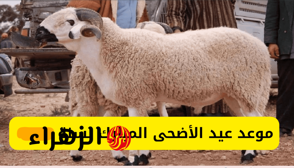 البحـوث الفلكيـة توضح.. موعد عيد الأضحى المبارك 2026/1447 ووقفة عرفات في جميع الدول العربية