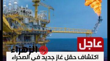 عاجل و رسميا.. اكتشاف حقل غاز جديد في هذا الدولة العربية بإنتاجية 26 مليون قدم مكعب يوميًا
