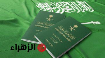 الان.. خطوات الاستعلام عن تأشيرة السعودية برقم الجواز في ثواني.. طريقة سهلة