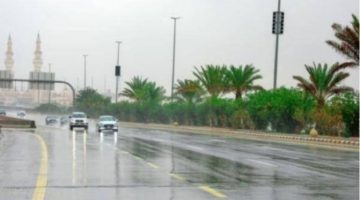 عاصفة ترابية وسيول محتملة.. الأرصاد تكشف تفاصيل حالة الطقس اليوم الخميس 19 مارس