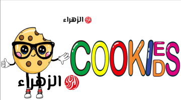 هـاري بوتر اليوم.. تردد قناة كويكز كيدز 2026 على نايل سات وتابع كل الافــلام بدون اعلانات مزعجة
