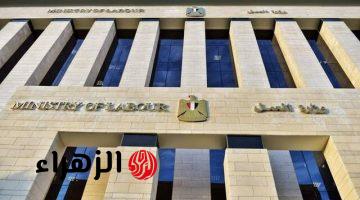 وزارة العمل تطرح 1721 وظيفة بالقطاع الخاص في 8 محافظات برواتب مجزية