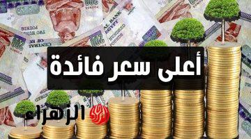 شهادات الادخار في البنوك المصرية 2026 وأعلى عائد متاح حاليا