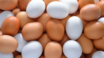 هبوط مفاجئ في أسعار البيض في مصر.. تراجع يصل إلى 40 جنيهًا رغم ارتفاع الدواجن