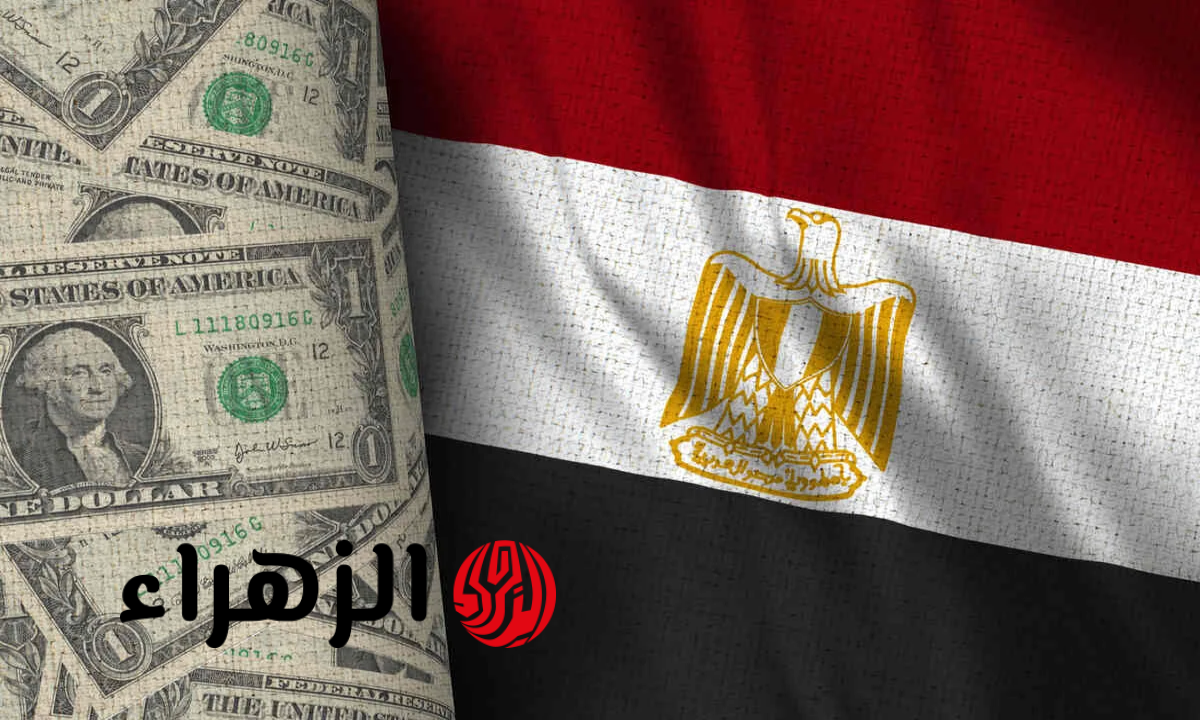 البنك المركزي يعلن عن رقم غير مسبوق للاحتياطي النقدي في مصر