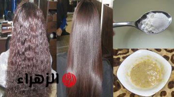 اسرار الهنود لفرد الشعر الخشن المجعد طرق امنه وفعاله هتخلى شعرك حرير بدون كيراتين
