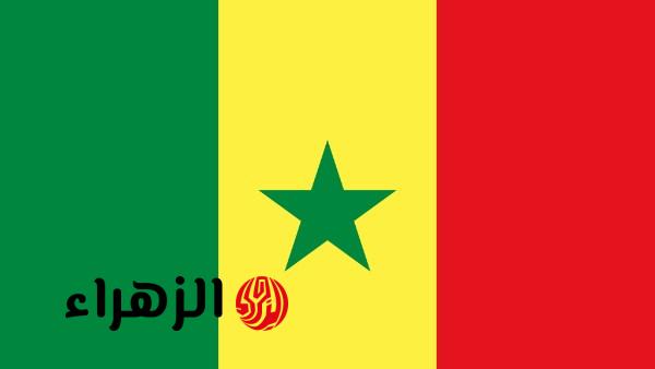 الاتحاد السنغالي يرفض عرضا رسميا لمواجهة الأرجنتين وديا تمسكا بلقاء غامبيا