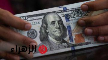 «الدولار يواصل استقراره أمام الجنيه في البنوك اليوم»