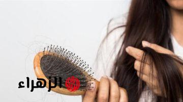 العناية المثالية بالشعر دليلك الكامل لنسيان التساقط والشعر الجاف والهيشان