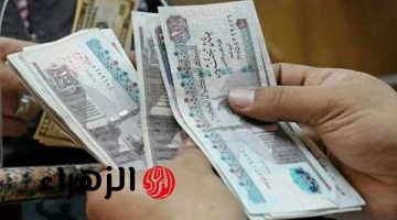 رسميًا.. موعد صرف تكافل وكرامة لشهر يونيو 2026 بعد قرار التضامن