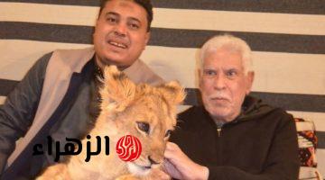حسن شحاتة يظهر برفقة أسد في واحة خطاب ويشعل مواقع التواصل الاجتماعي
