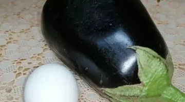 حطي الباذنجان علي البيض واتفرجي علي النتيجة هتنبهري من طعمها مش هتبطلي تعمليها من كتر حلاوتها
