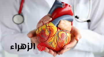 جمال شعبان يكشف عن 5 علامات تنذر بخطر الإصابة بأمراض القلب