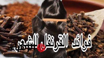 فوائد القرنفل للشعر وطريقة استعماله الصحيحة لنتائج مذهلة في وقت قصير