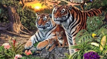 كم نمراً ترى في الصورة؟.. اللغز يحدد ما إذا كان تركيزك جيداً أم لا