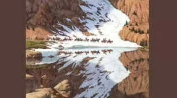 ماذا رأيت أولاً «الخيول أم النسر»؟.. اختبار بصري يكشف عن خبايا شخصيتك