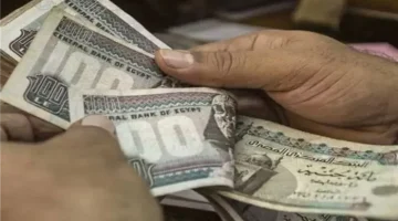رسميًا خلال أيام.. بدء صرف معاشات شهر مارس 2026 بعد قرار المالية الجديد