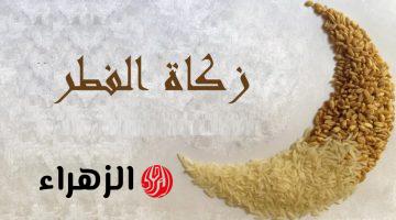 عينية أم نقدية .. الافتاء توضح قيمة زكاة الفطر في رمضان 2026 وموعد إخراجها