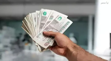 خبير يعلق بشأن صرف منحة رمضان 2026 للعمالة الغير منتظمة | التفاصيل