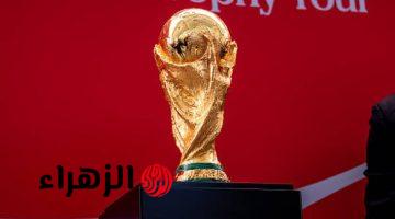 مهدي تاج يرهن مشاركة إيران بكأس العالم في أمريكا بقرار حكومي مرتقب