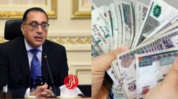 رسميًا.. موعد زيادة المعاشات 2026