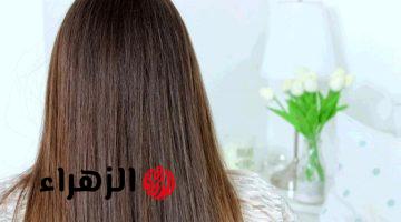 وصفة الكيراتين الخارق في البيت لفرد شعرك
