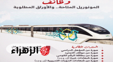 وظائف المونوريل 2026.. تفاصيل 25 ألف فرصة عمل مباشرة وغير مباشرة