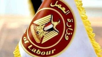 برواتب مجزية وتأمين شامل.. العمل تعلن عن 400 وظيفة للإناث