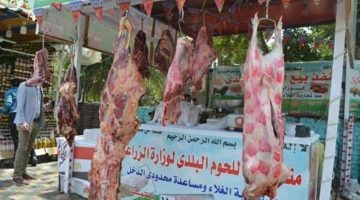 الزراعة: أسعار اللحوم في منافذ الوزارة تبدأ من 280 جنيهاً وتخفيضات 20% على السلع