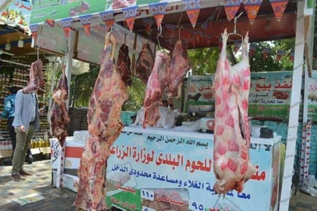 الزراعة: أسعار اللحوم في منافذ الوزارة تبدأ من 280 جنيهاً وتخفيضات 20% على السلع