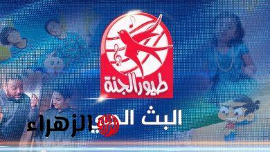الأن.. تردد قناة طيور الجنة 2026 الجديد على نايل سات وعرب سا