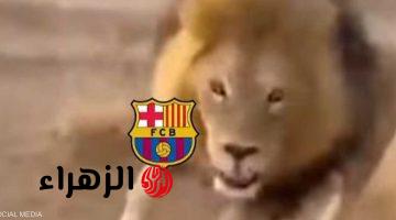 أتلتيكو يسخر من برشلونة بفيديو “الأسد والكلب” بعد إقصائه من الأبطال