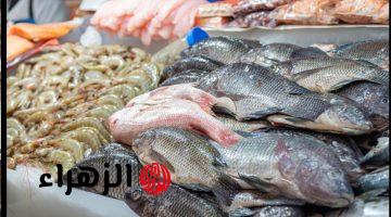 شوف وصل لكام.. أسعار البلطي والفيليه والجمبري اليوم في الأسواق المصرية
