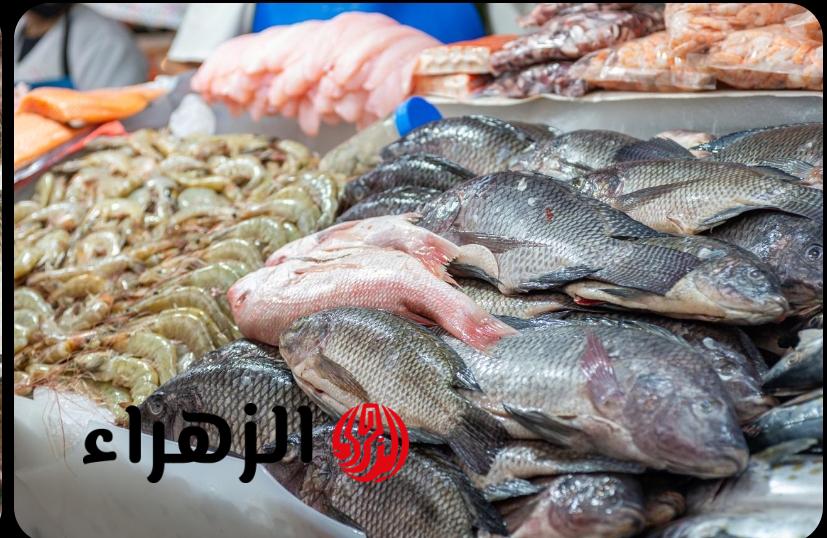 شوف وصل لكام.. أسعار البلطي والفيليه والجمبري اليوم في الأسواق المصرية 6 سمك