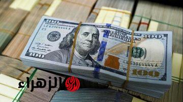 “الدولار هيولع ولا هيهدى؟!” سعر الدولار اليوم مقابل الجنيه المصري يفاجئ الجميع داخل البنوك!